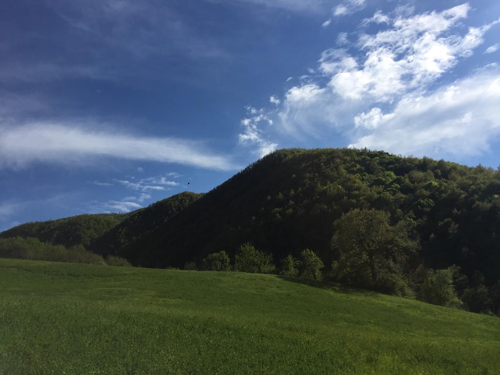 Agriturismo La Ferraia Pianello  Buitenkant foto