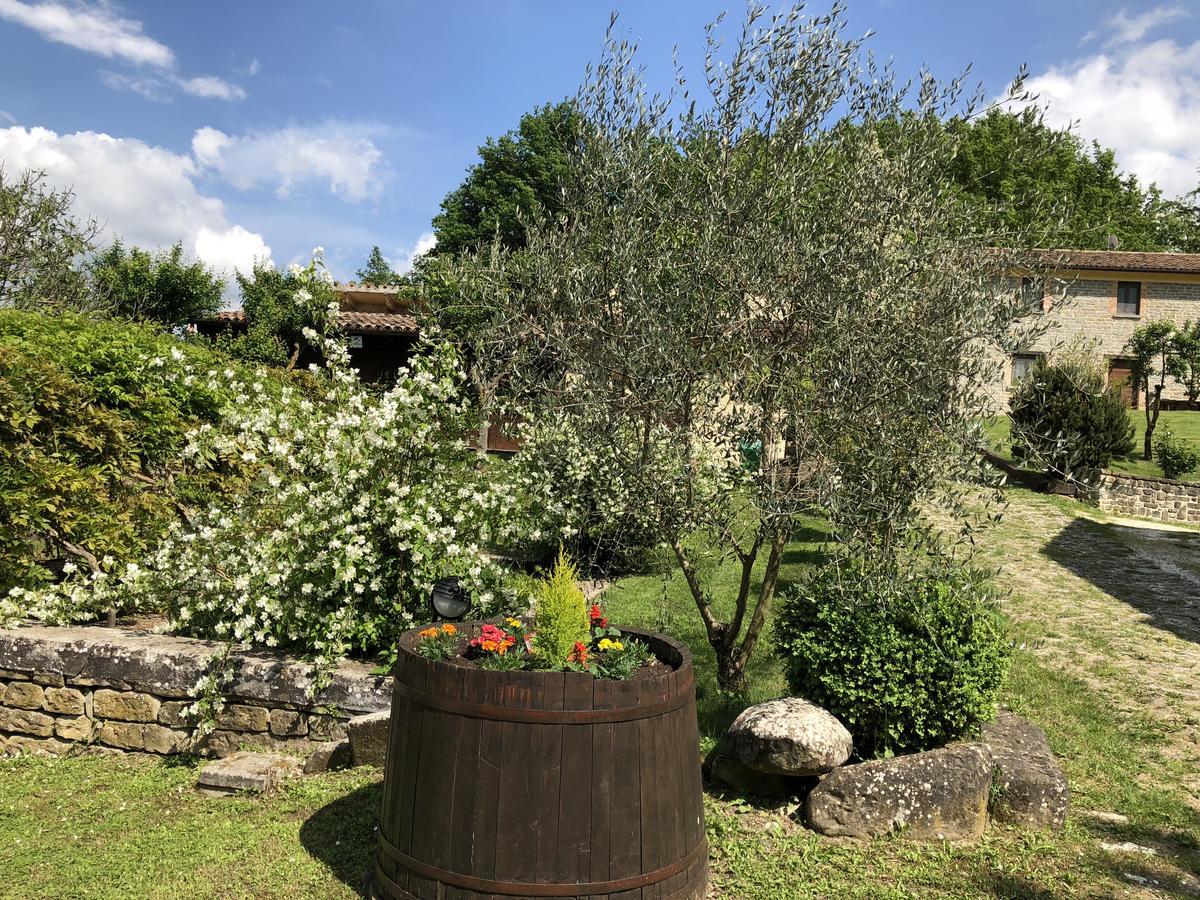 Agriturismo La Ferraia Pianello  Buitenkant foto